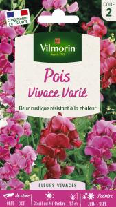 Pois Vivace Varié